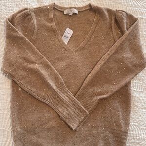 Sparkle v neck Loft sweater